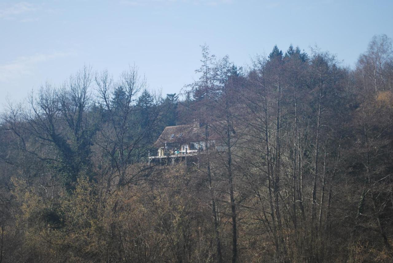サン・ティリュー・ラ・ペルシュ Veyrinas 43 Bed & Breakfast エクステリア 写真
