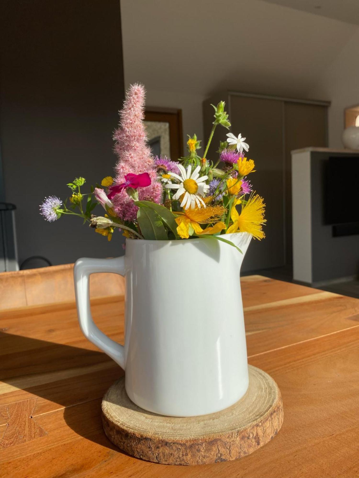 サン・ティリュー・ラ・ペルシュ Veyrinas 43 Bed & Breakfast エクステリア 写真